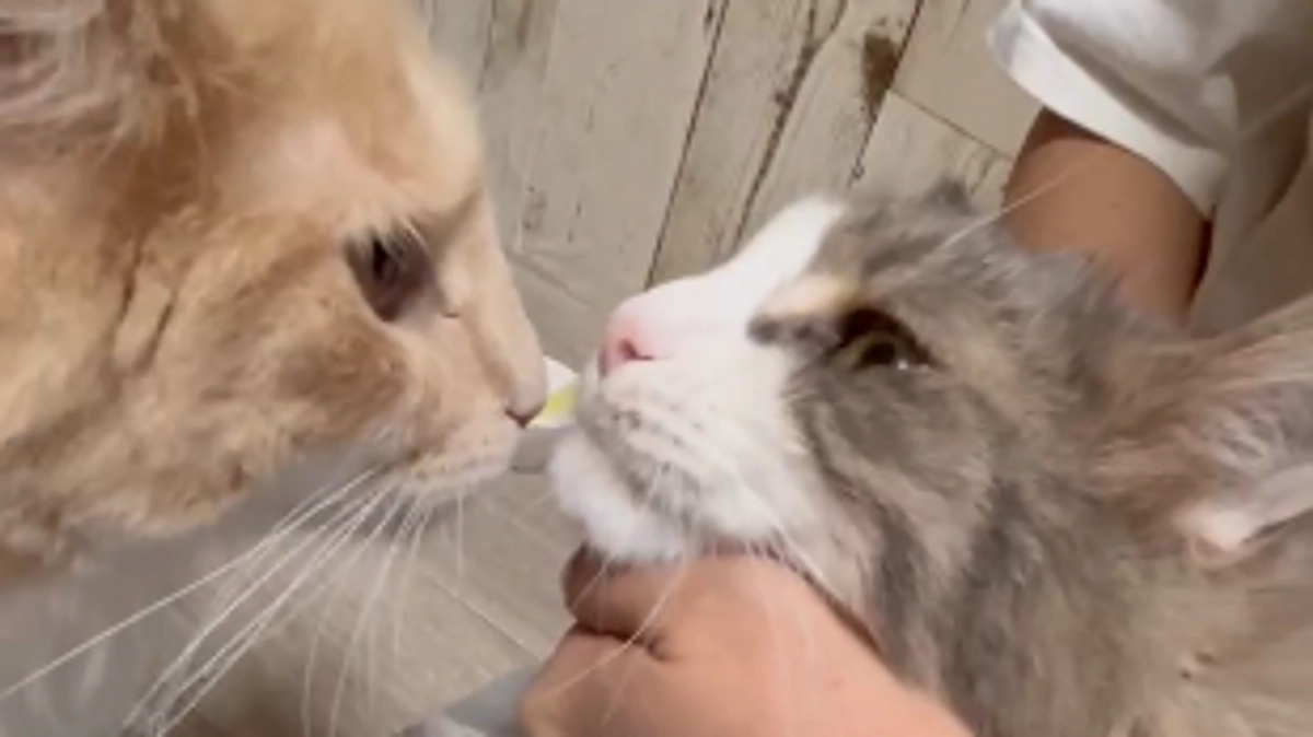 投薬終了しました