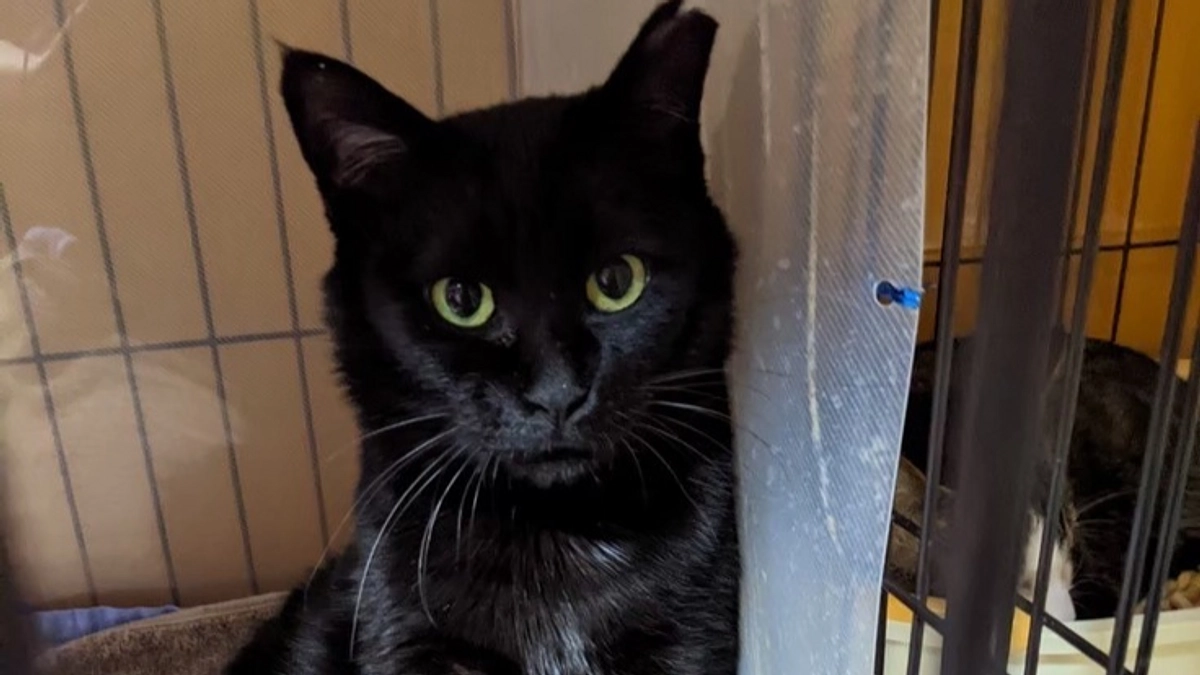 代表阿久津より、大切なおしらせ