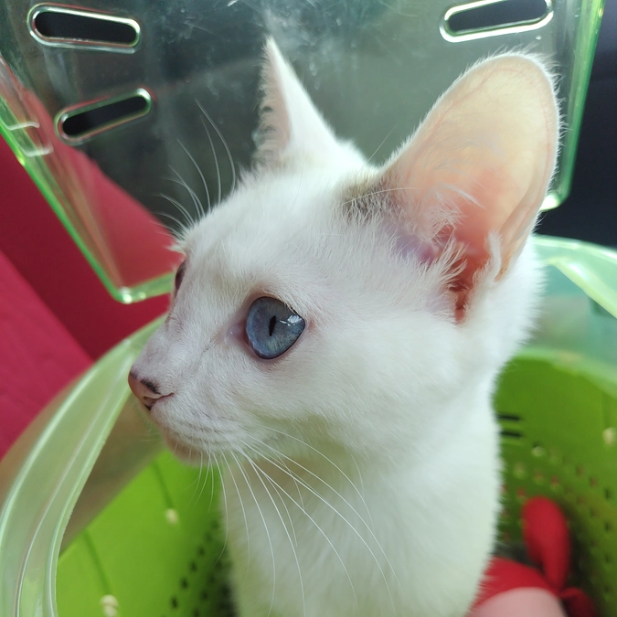 カテーテルはずれました〜🎊