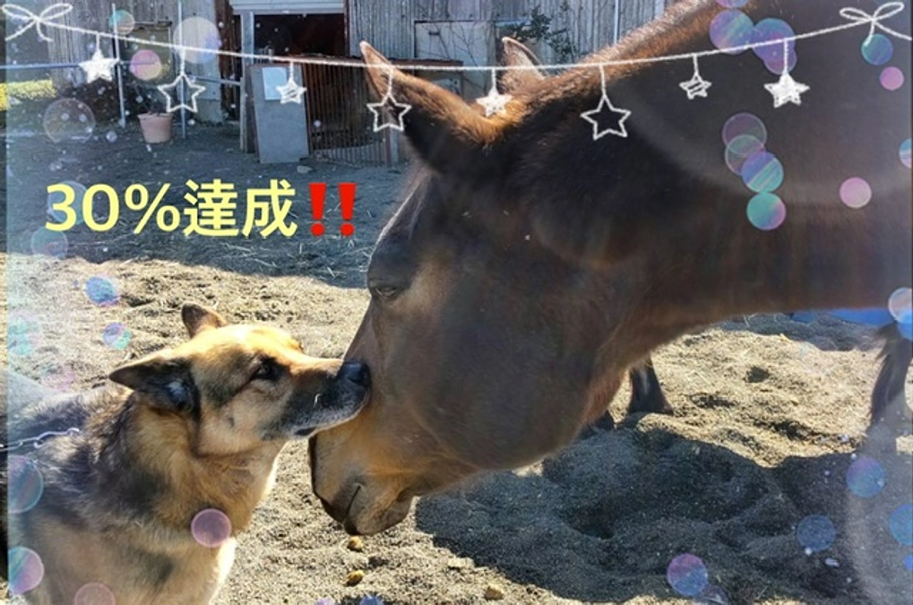 ㊗️30%達成‼️