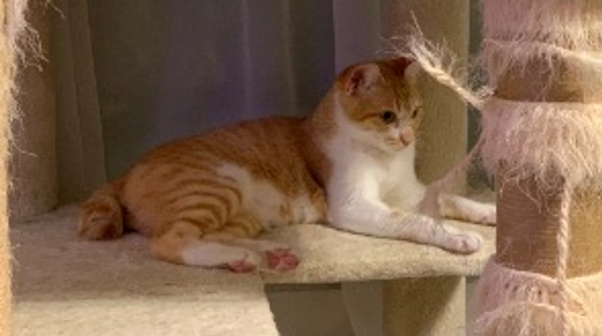 投薬69日目（プロジェクト開始29日目）