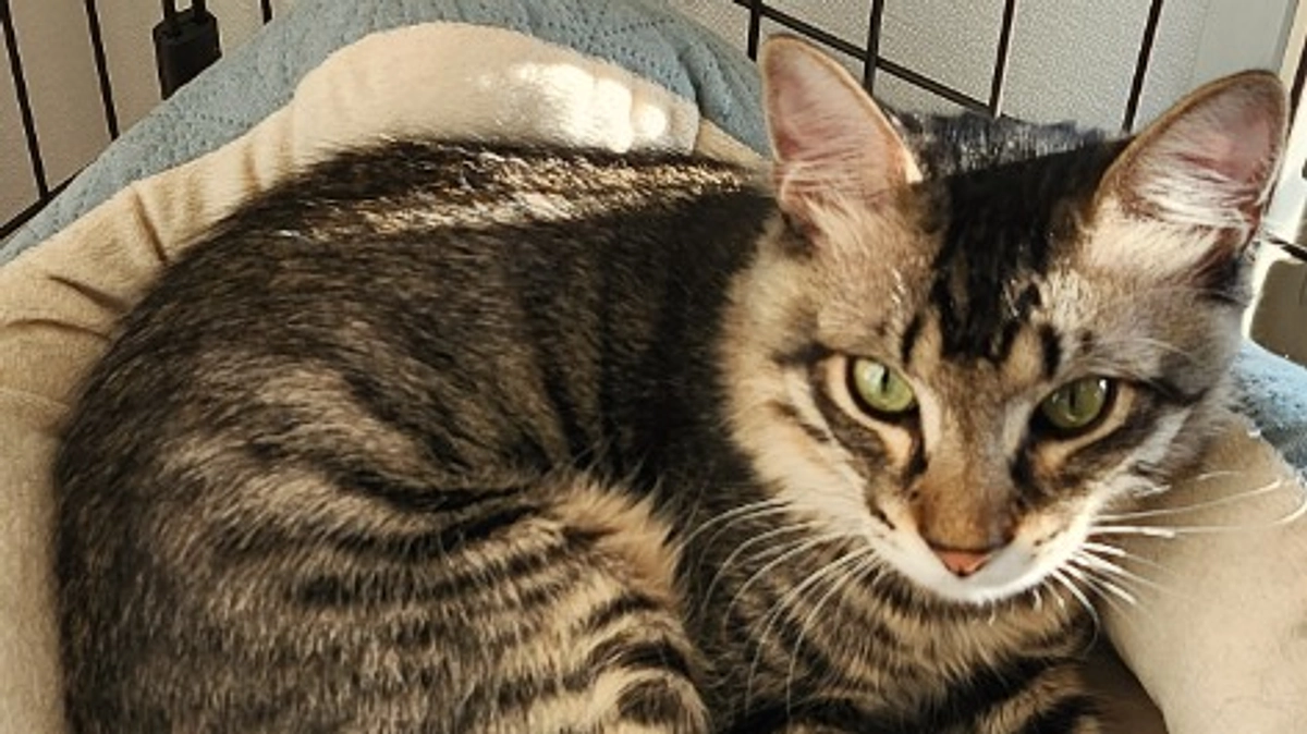 クラウドファンディング終了しました