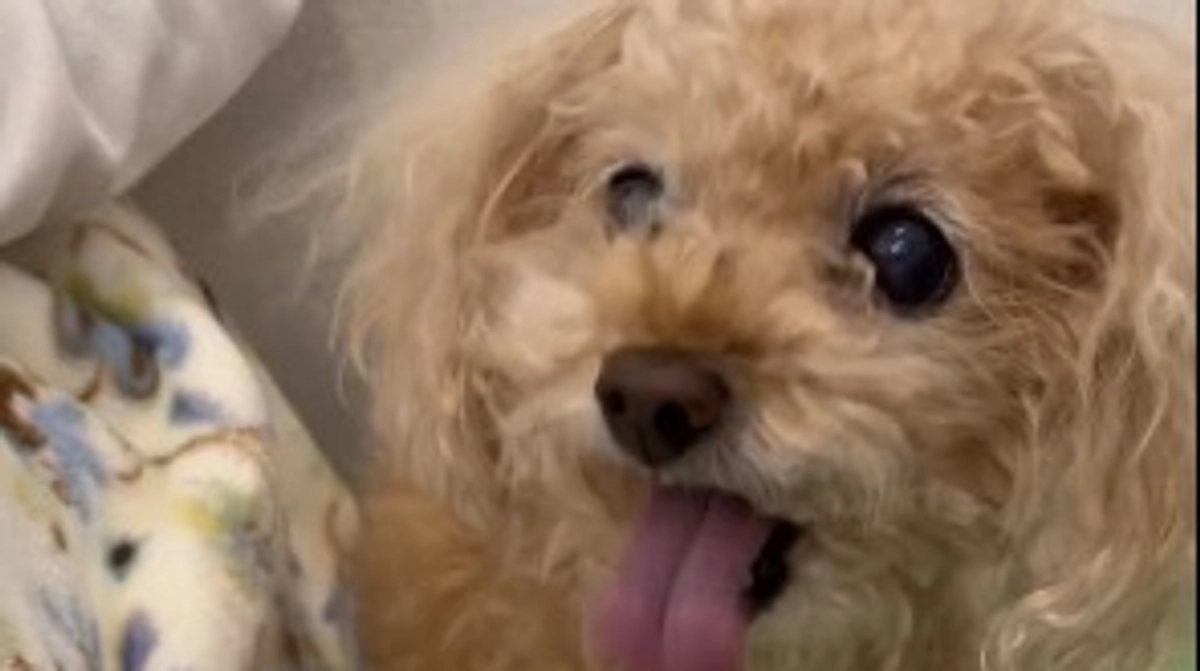 術後29日目の通院検査