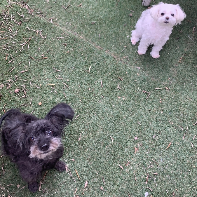 来週　術後2ヶ月検診です