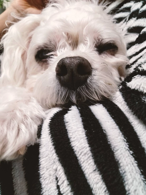 次回は1か月後検査