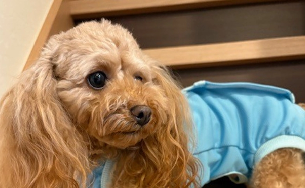 ゆむのサポーターになってください！No.５