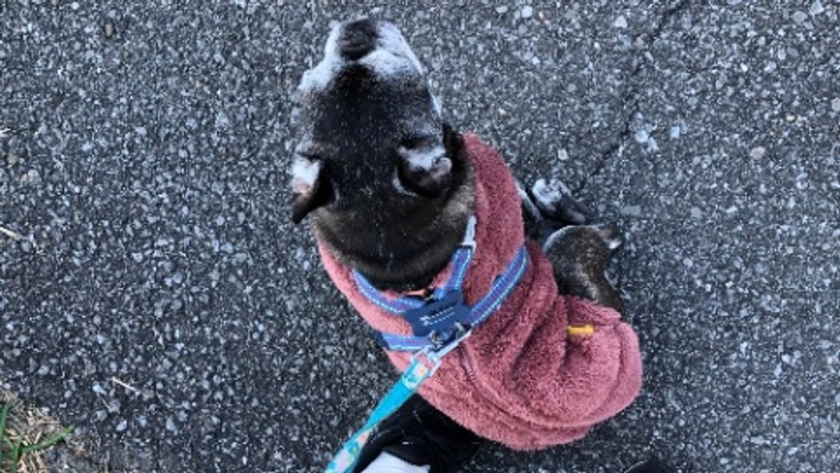 SNSでの情報発信についてと治療後初めての散歩