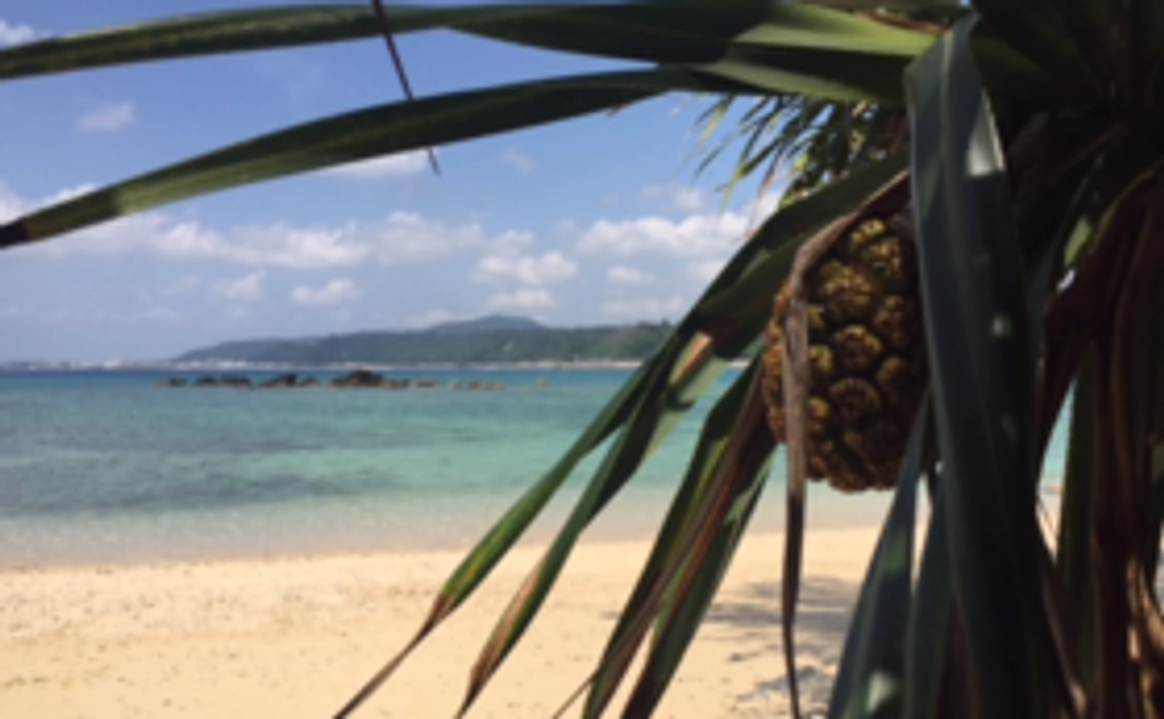 厳選！沖縄のお土産詰め合わせ