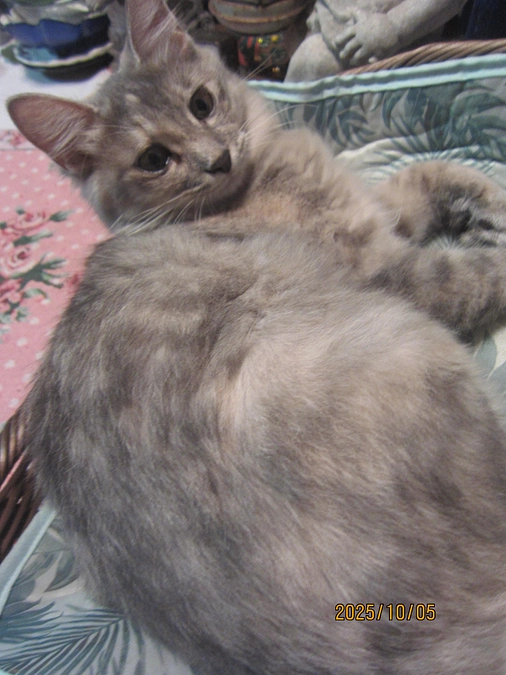 【残り7日間】温かいご支援ご協力を賜りお礼申し上げます