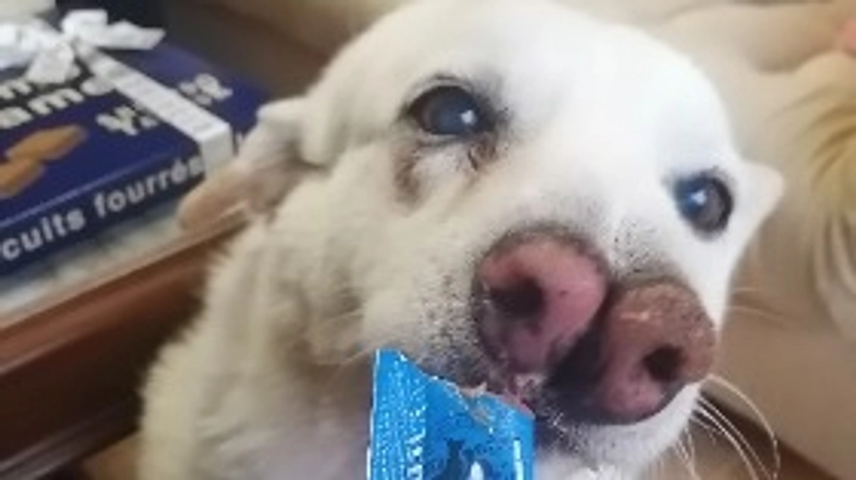 脱走防止対策☆