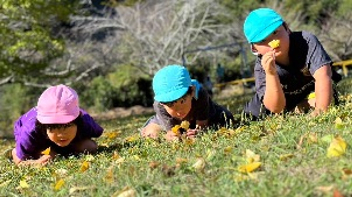 親子のためのマルシェ⭐︎遊び場コーナー