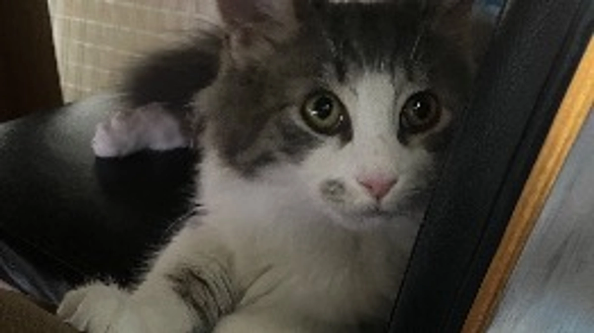 目標金額達成致しました😭引き続き、残り5日ご支援を受け付けております。🙇🏼‍♀️