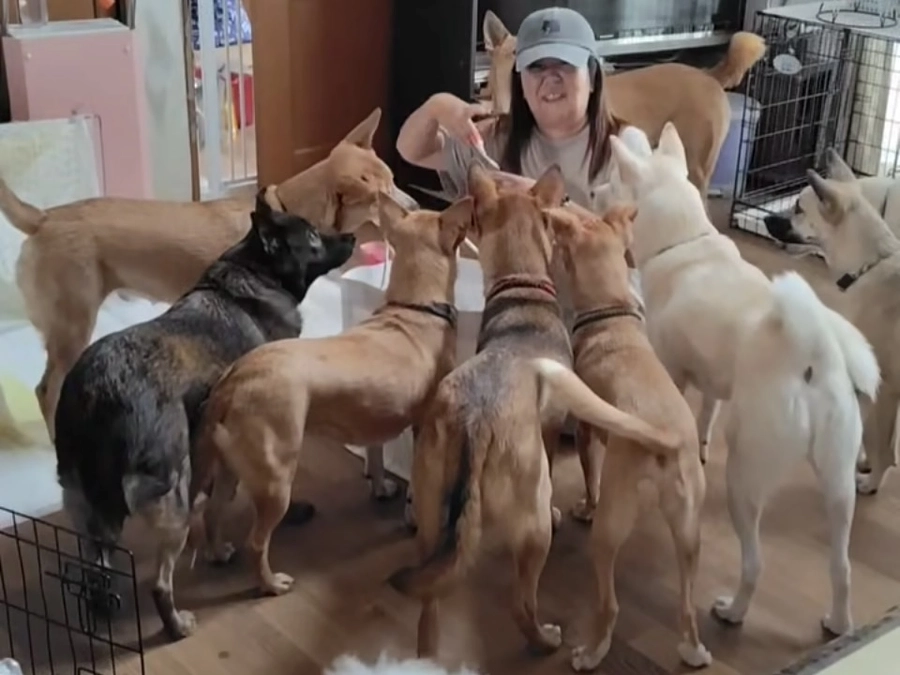 ありがとうございます！終了まであと4日。450万円を超えました。