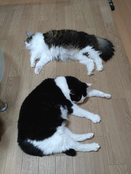 残り3日　87％の達成率です！