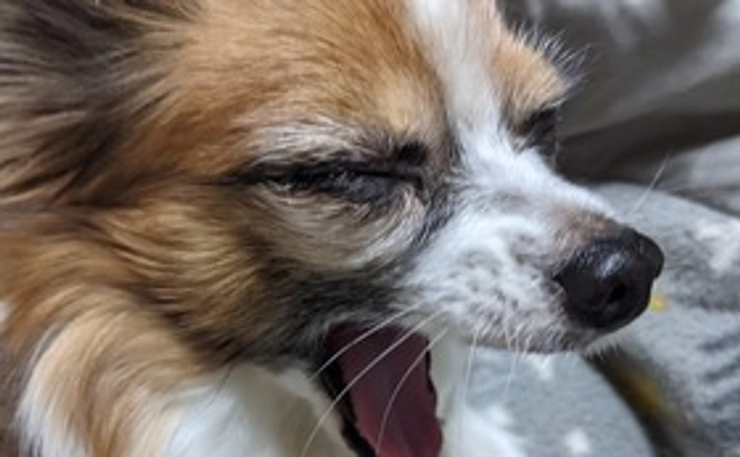 3000円支援コース