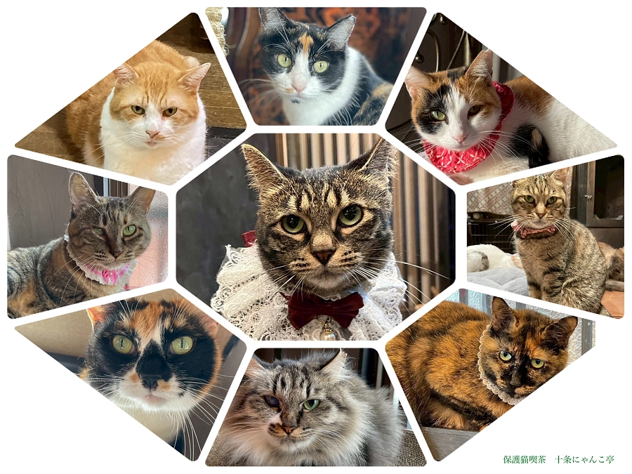 官庁検査完了！