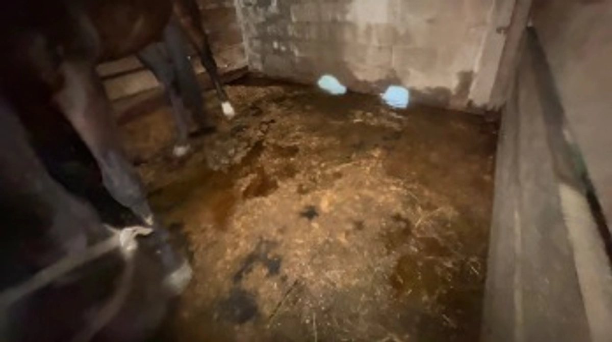 大雨で厩舎冠水