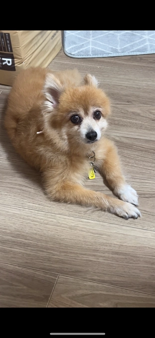 服薬変更😭負担が、、😭