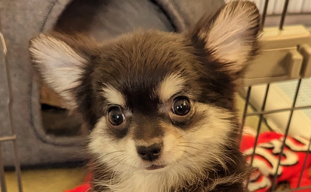 リターン不要の方(１)