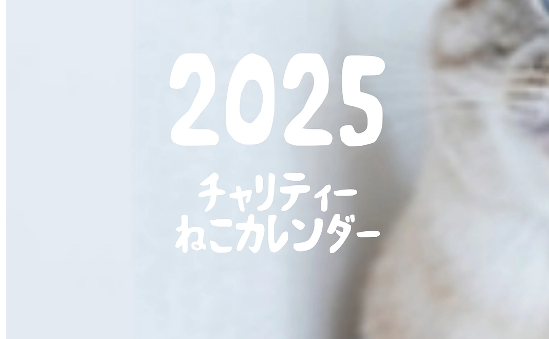 2025年チャリティー猫カレンダー