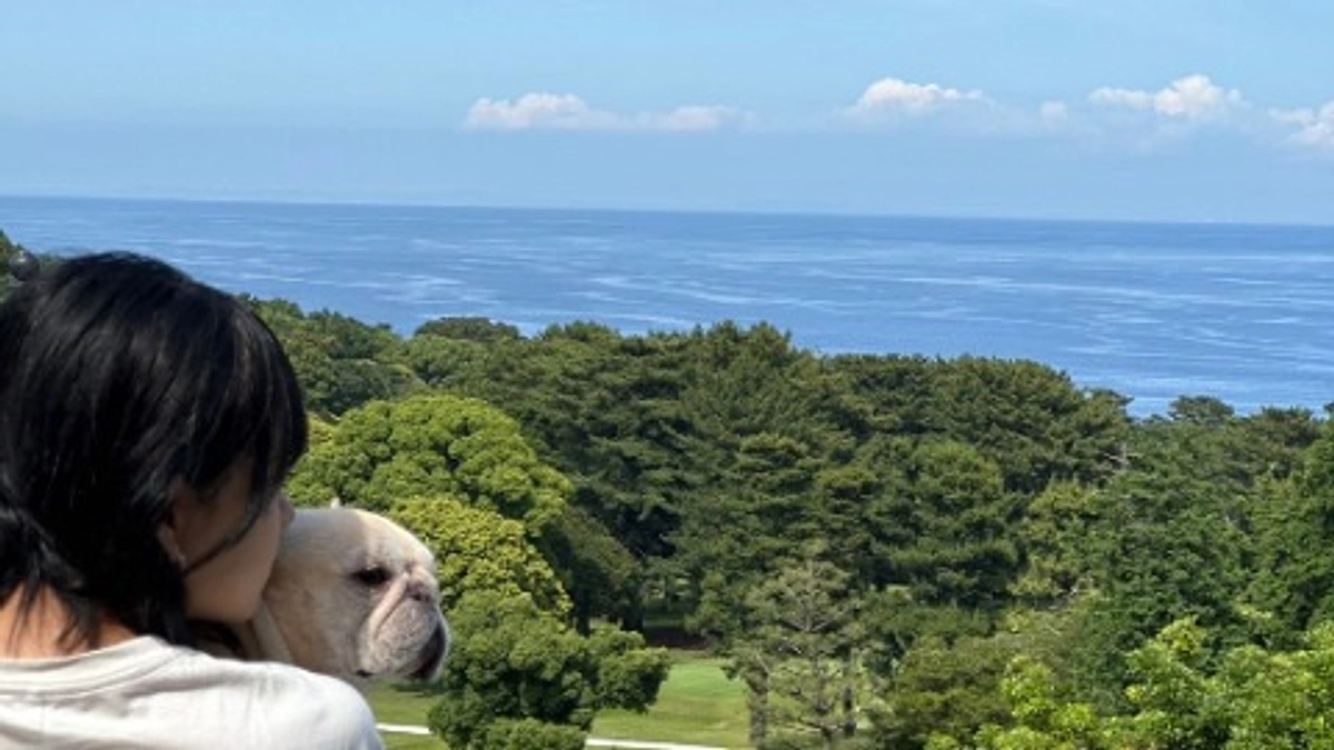 経過報告⑥ 犬連れ日帰りドライブ　【終了まで残りあと6日】