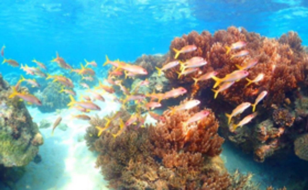 B：お好きなレンタル道具_1回体験