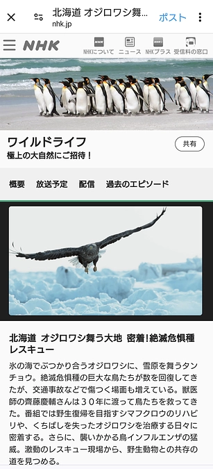NHKワイルドライフ再放送のお知らせ