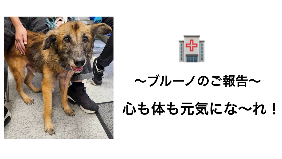 ただ、傷ついた子たちを笑顔にしたいから…