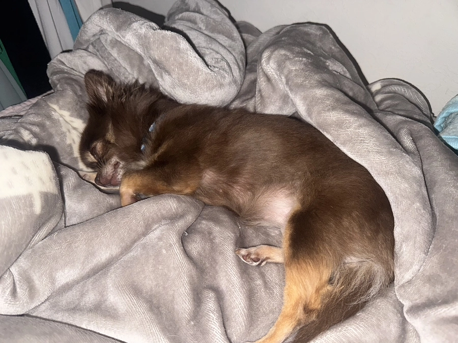 インスタでコラボライブをさせて頂きました！