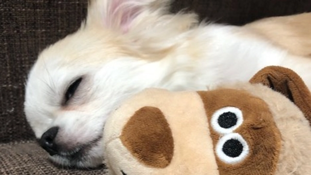 ”術後の経過報告⑫”です。