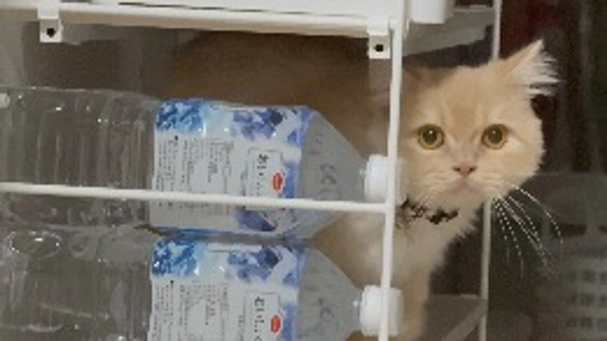 10/10 経過良好✨GS製剤増量