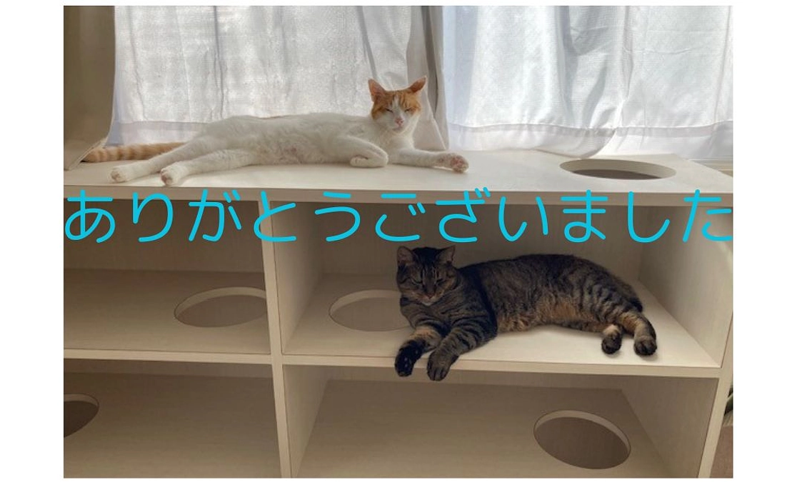 プロジェクト成立の御礼