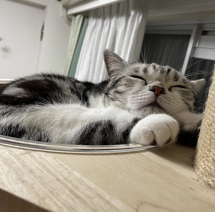 闘病生活163日目