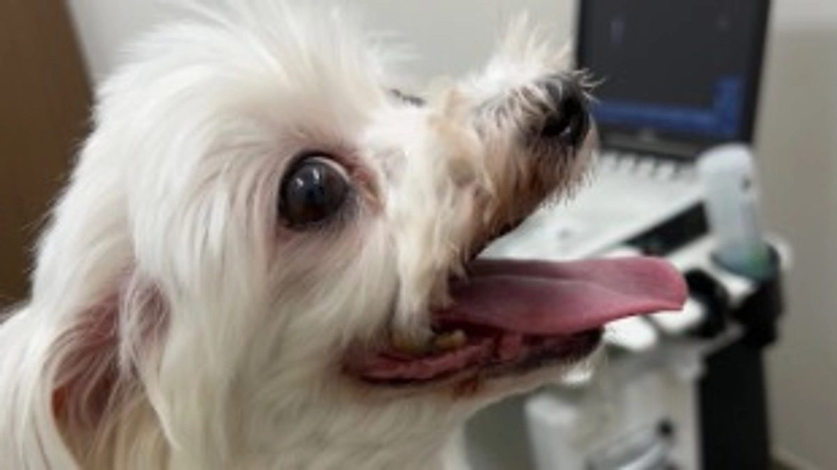 領収書を追加しました！皆さま 安全にお過ごしください。