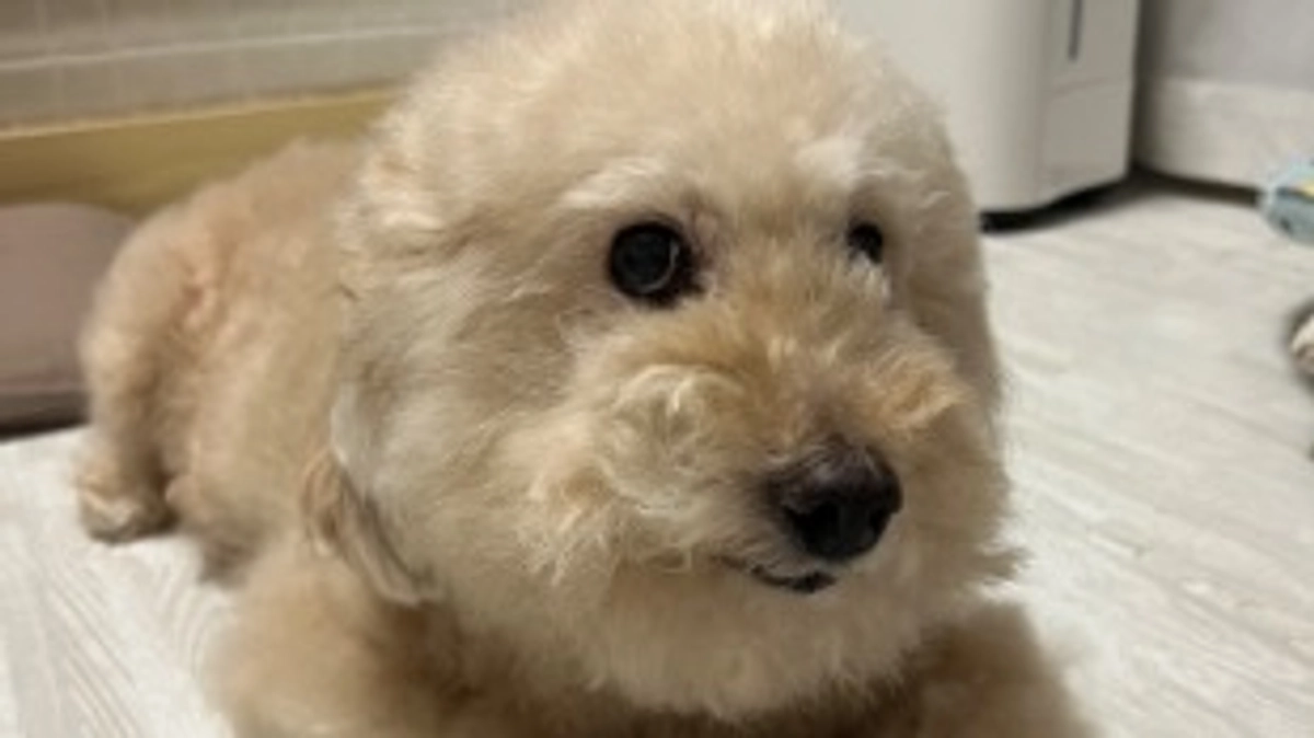 達成率20%に到達しました！