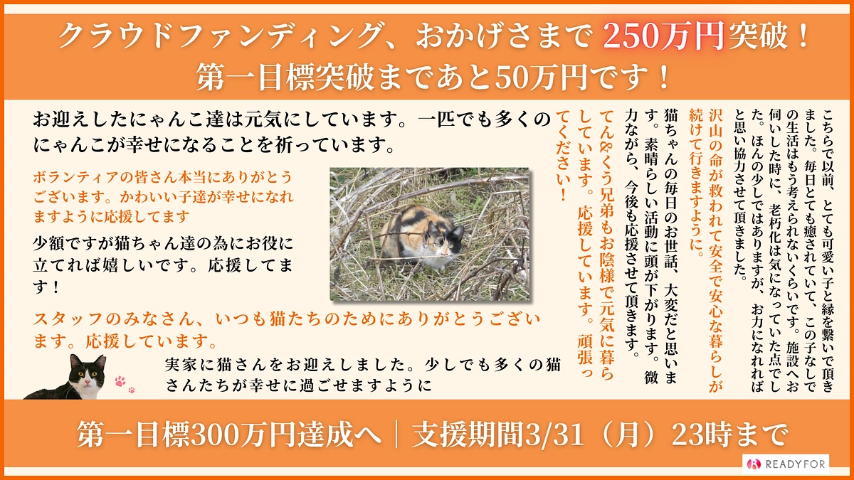 250万円突破！第一目標達成まで、あと50万円まできました