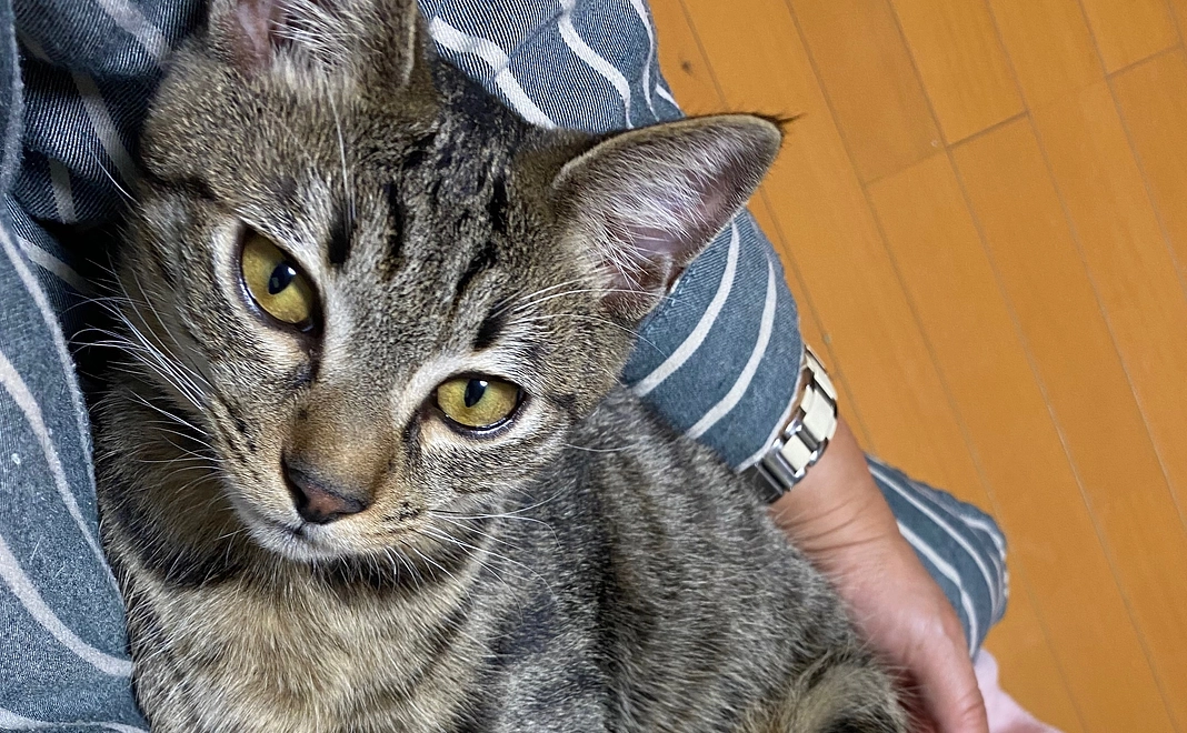 心を込めたお礼メール1,000円コース