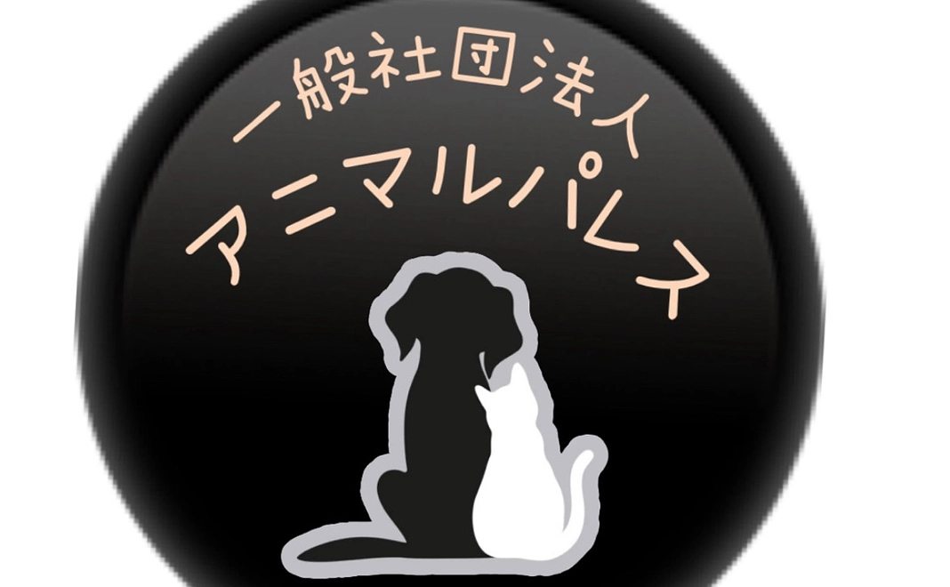 応援コース|10,000円