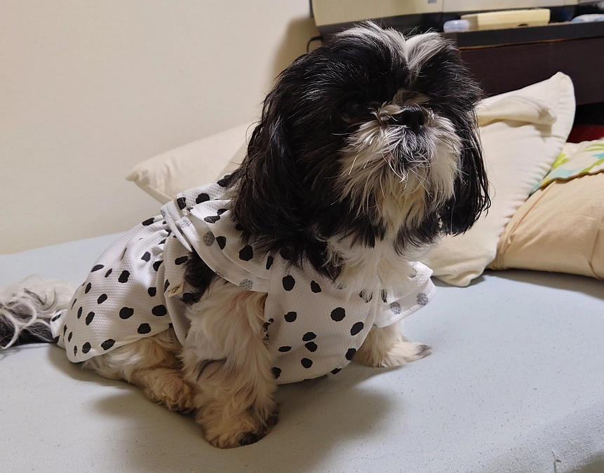 本日もご支援頂きました。ありがとうございます。