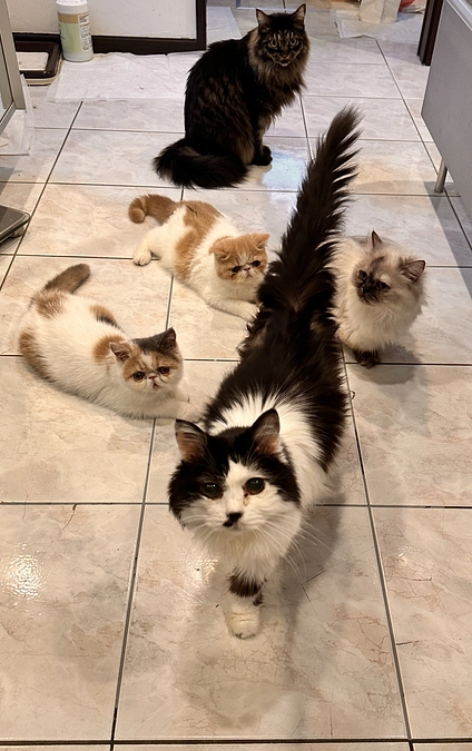 わさびの応援隊⑤