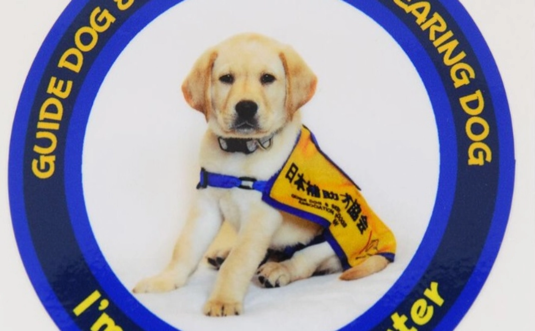 ほじょ犬応援サポーター（5,000円）