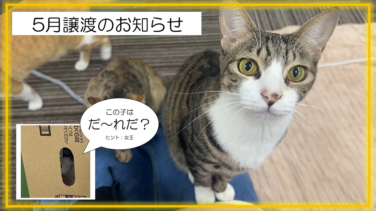 2024年5月度　譲渡報告！