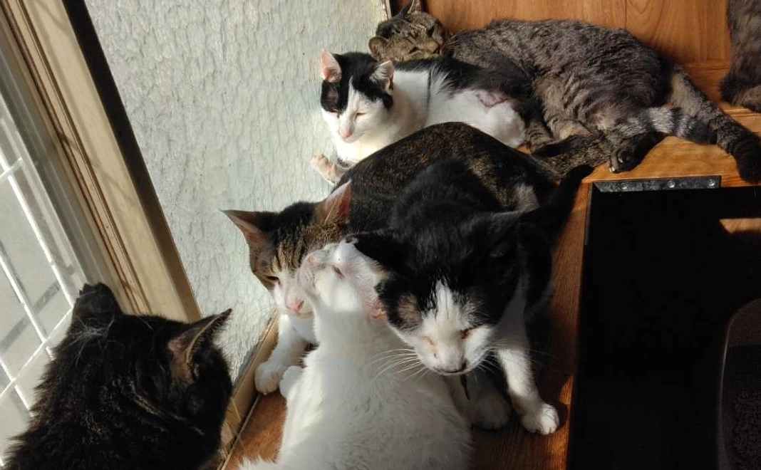 ハーツ活動応援コース5000