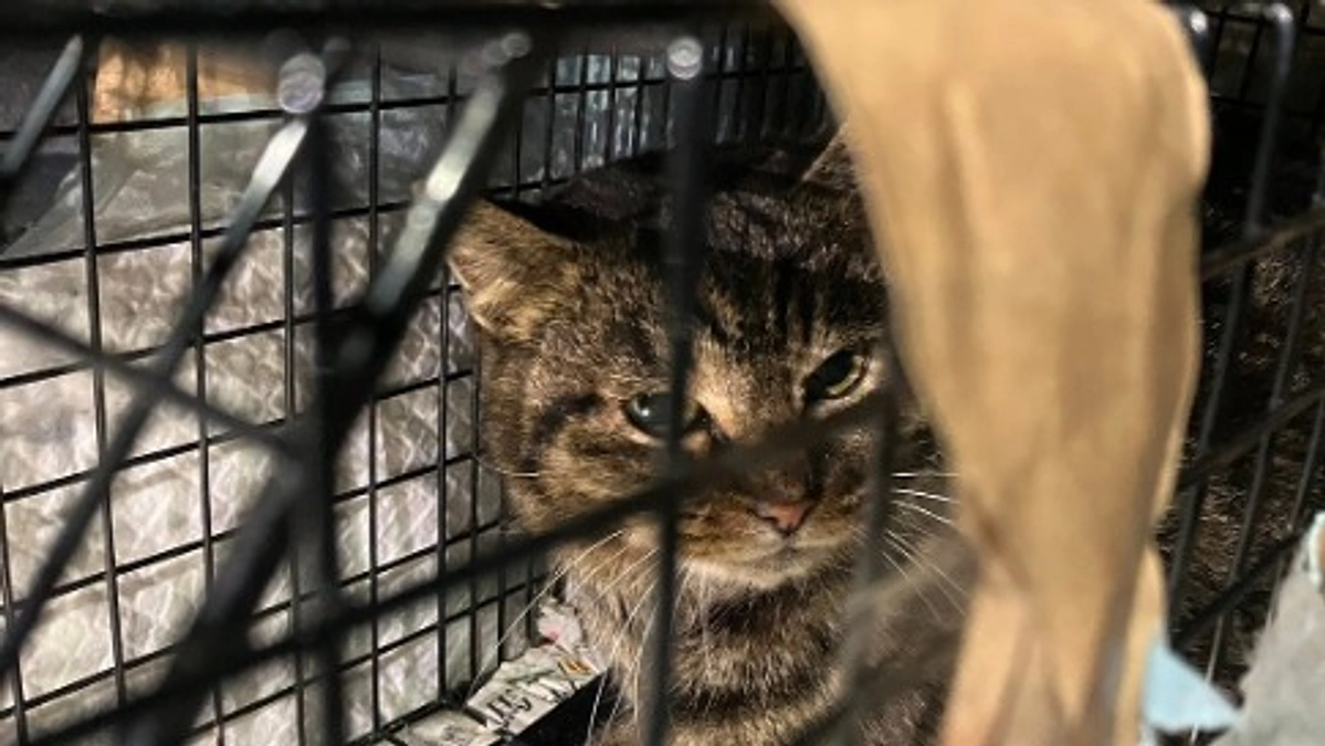 プロジェクト開始から1週間が経過しました！