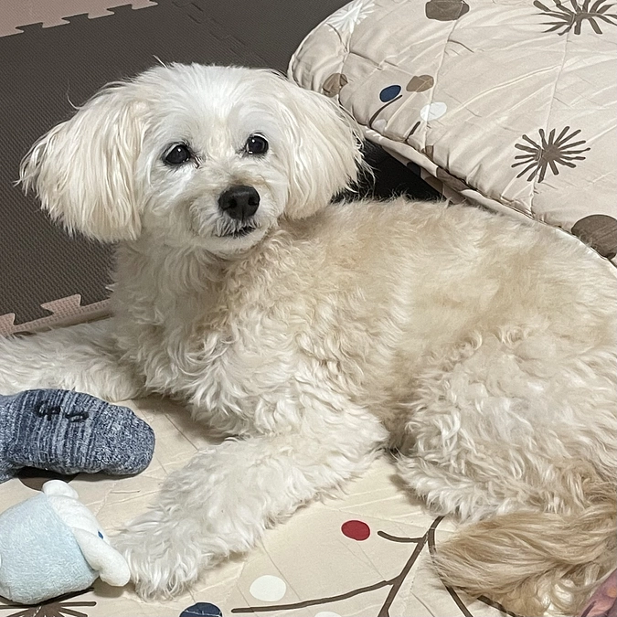 術前検査の為入院しました