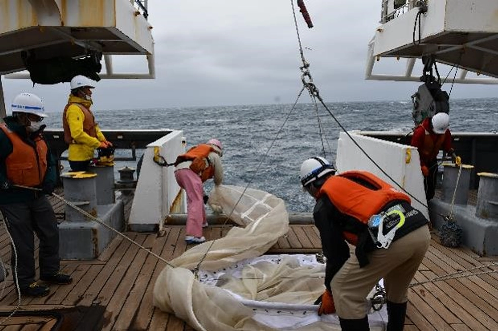 2024年1月14日「粉とプランクトンに関する一考察」