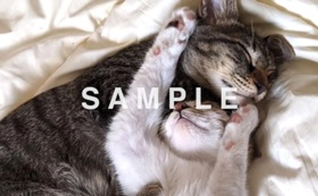 お礼のメールとエニー、フチの画像