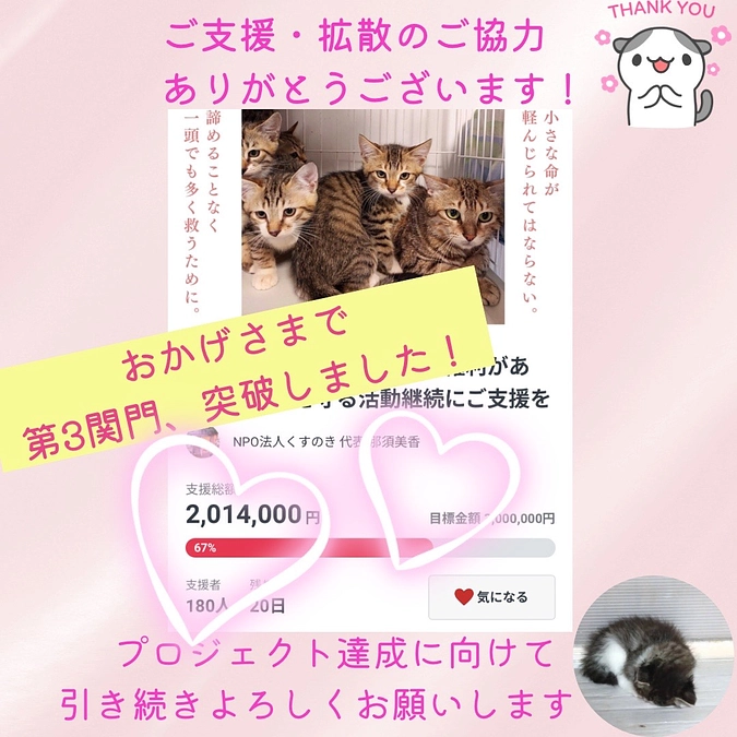 第3関門突破しました！！　チラシ設置のご協力店さまもありがとうございます！！