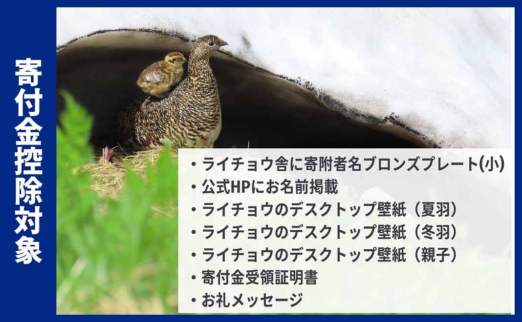 【寄付金控除対象】ライチョウ保全コース｜100,000円