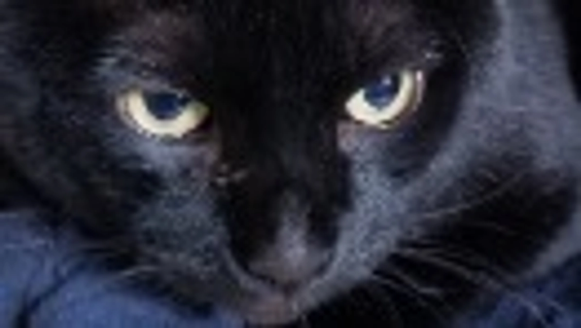 音入院しました。